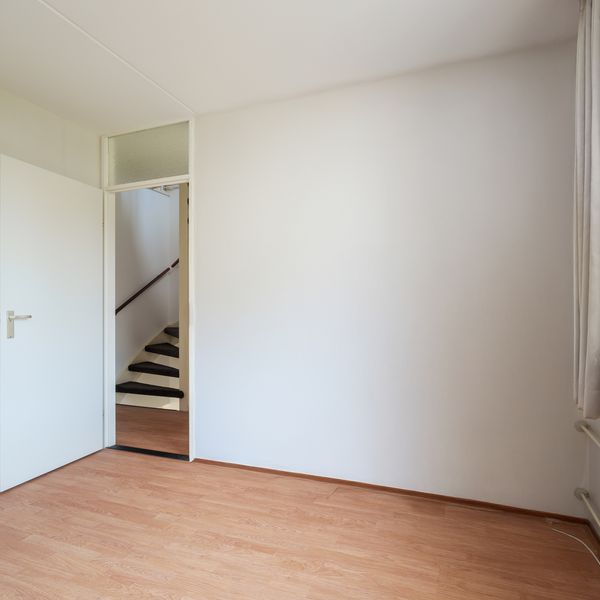 Oeverzwaluw 55, 'S-Hertogenbosch