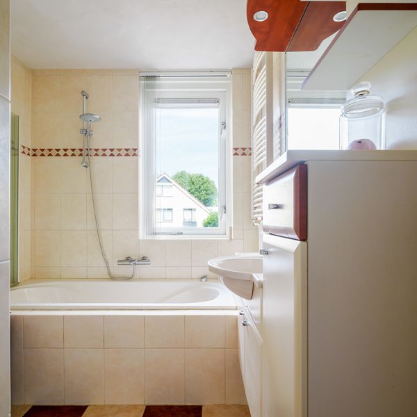 Oeverzwaluw 55, 'S-Hertogenbosch