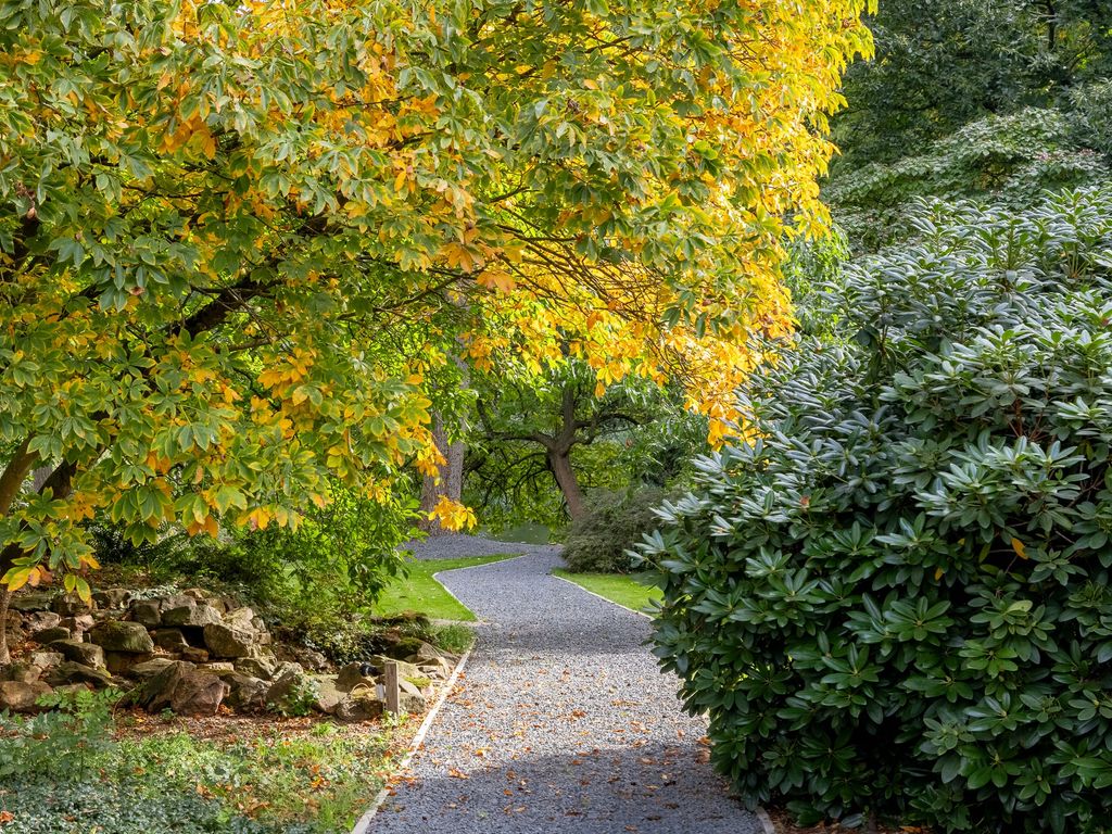 Runselstraat 10, Berghem