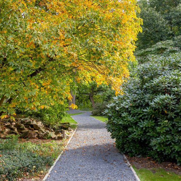 Runselstraat 10, Berghem