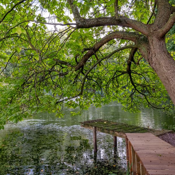 Runselstraat 10, Berghem