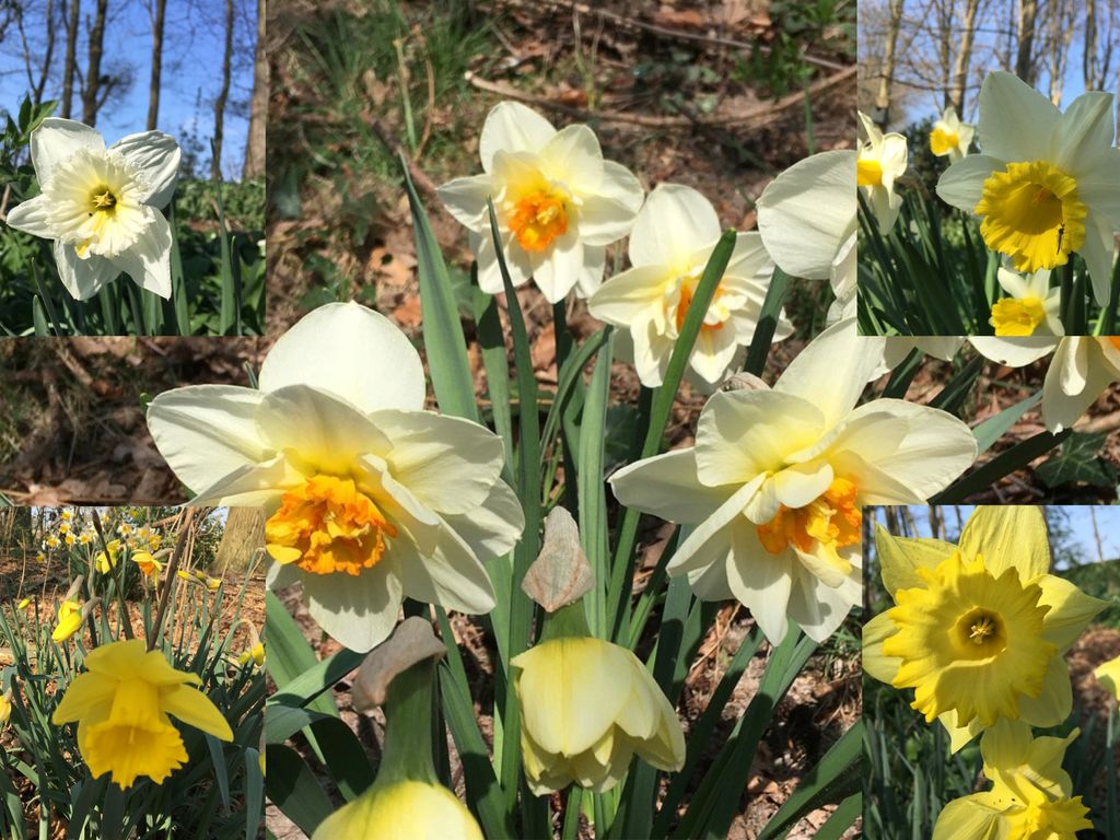 Runselstraat 10, Berghem