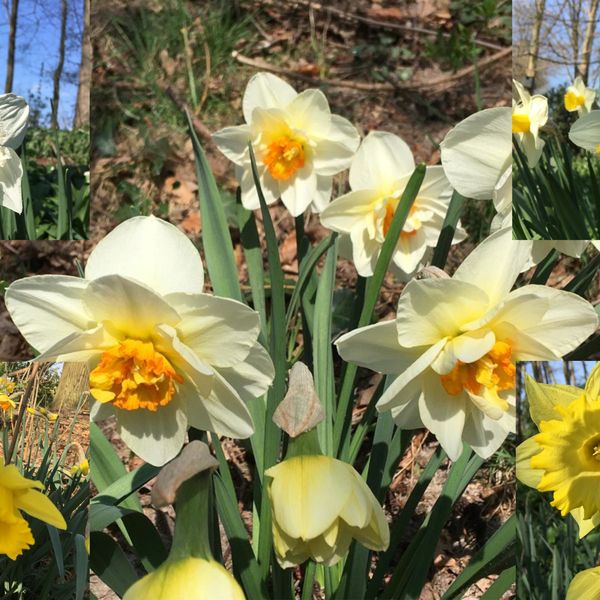 Runselstraat 10, Berghem