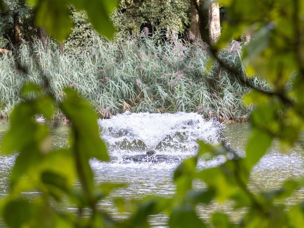 Runselstraat 10, Berghem