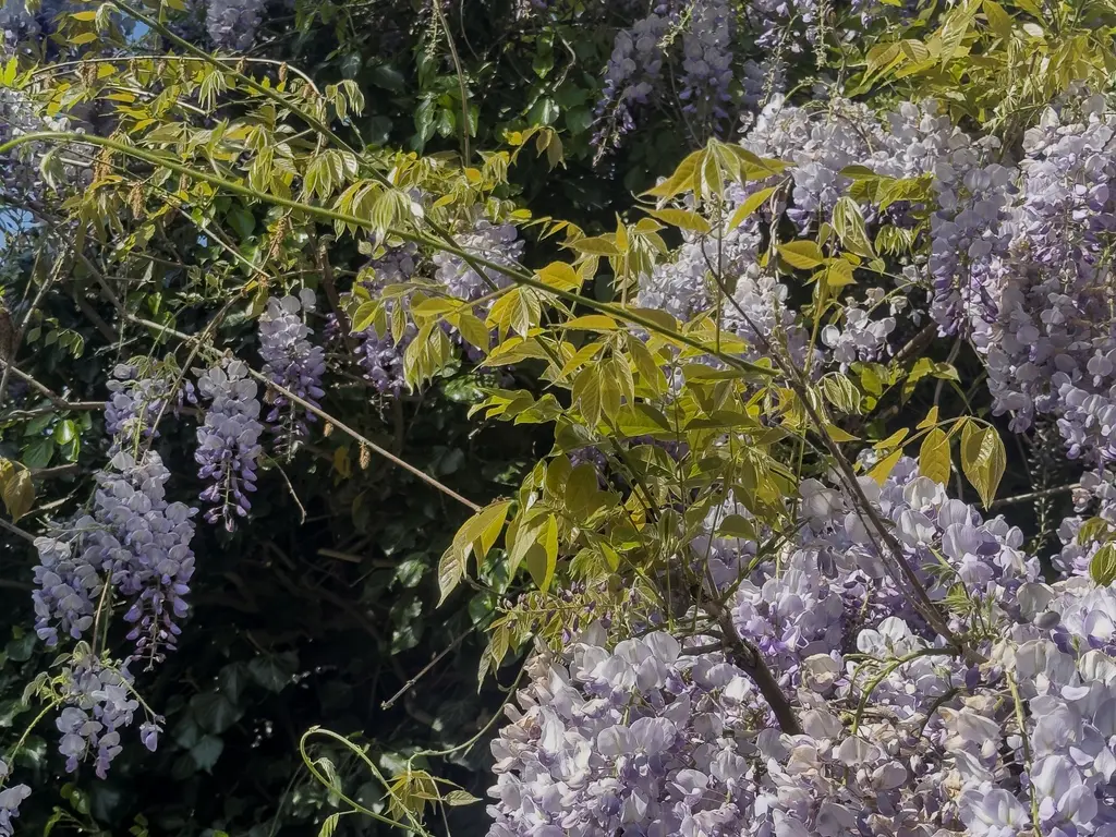 Malandolaan 2, Amstelveen