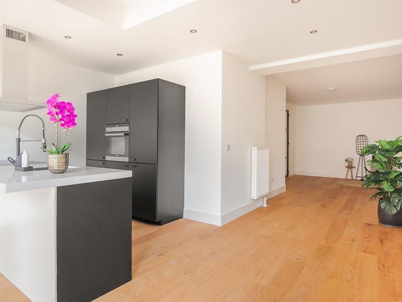 Pippelingstraat 161, Den Haag | Mei 2025