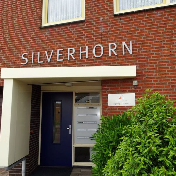 Serpeling 89, Avenhorn