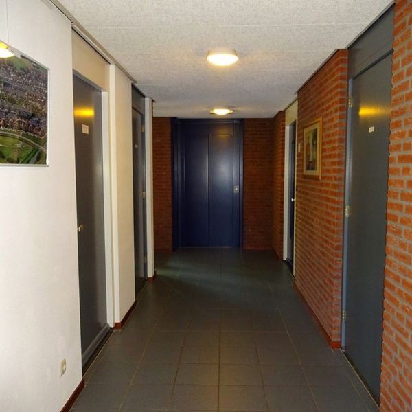 Serpeling 89, Avenhorn