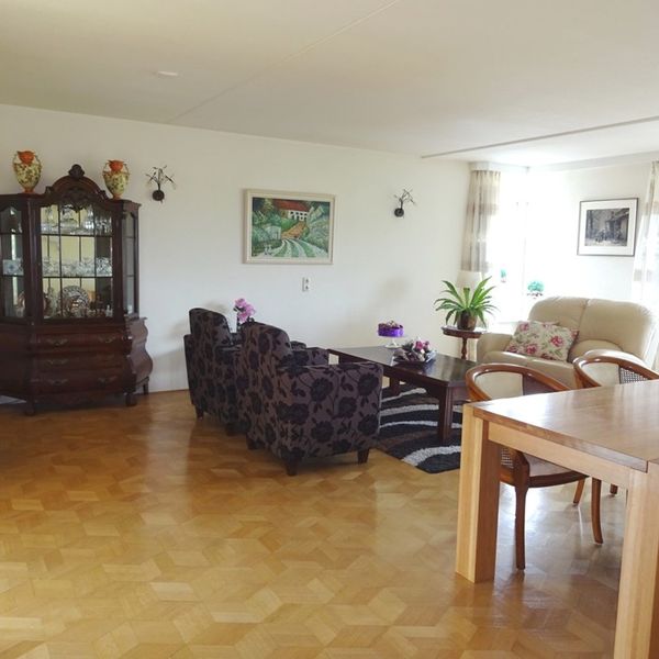 Serpeling 89, Avenhorn