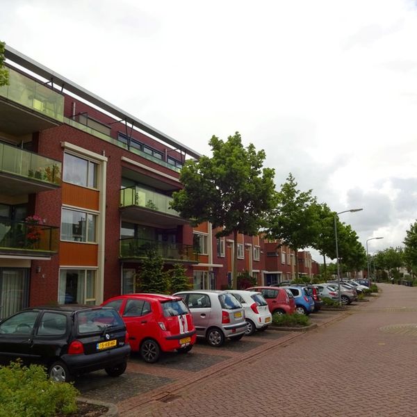 Serpeling 89, Avenhorn