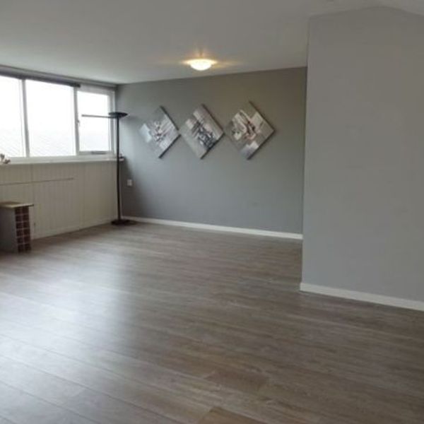 De Goorn 44, De Goorn