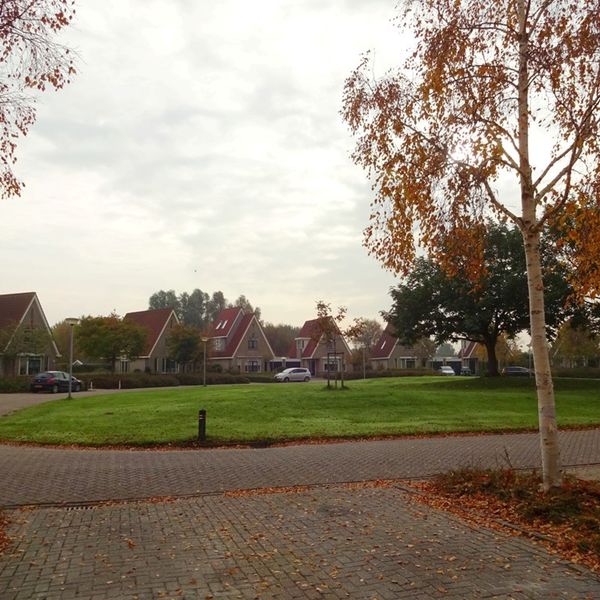 Dorsvlegel 57, De Goorn