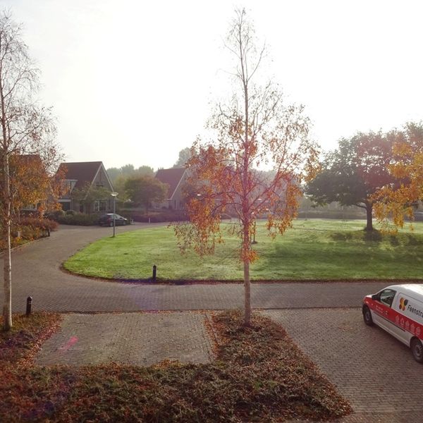 Dorsvlegel 57, De Goorn