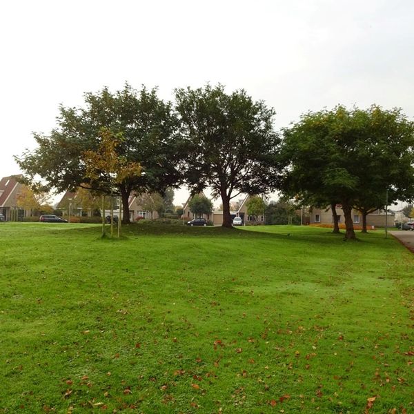 Dorsvlegel 57, De Goorn