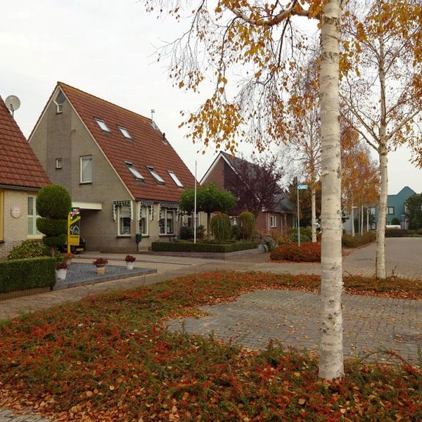 Dorsvlegel 57, De Goorn