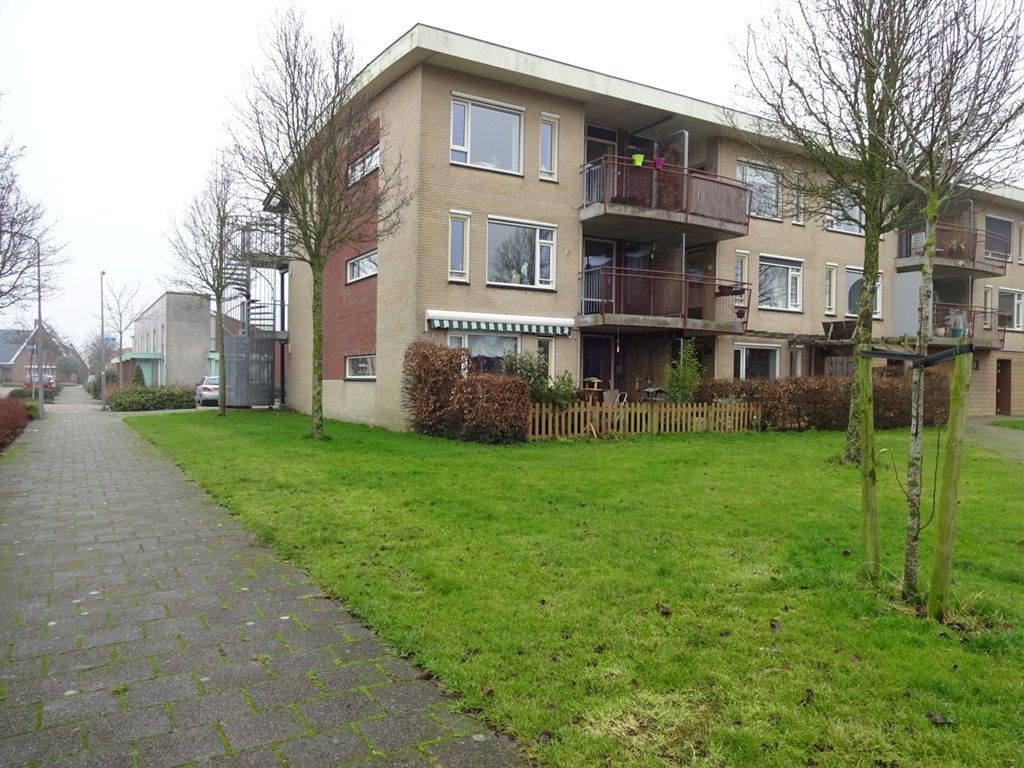 Elft 3, Avenhorn