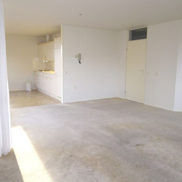 Dorsvlegel 26, De Goorn