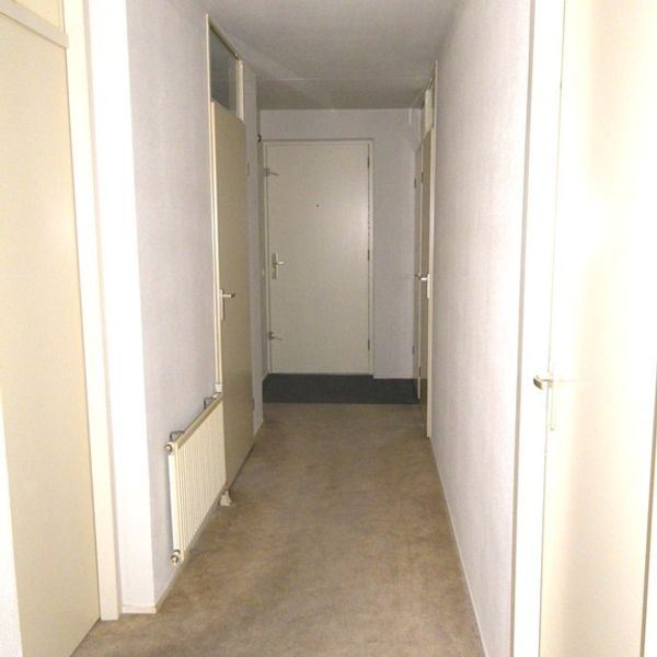 Dorsvlegel 26, De Goorn