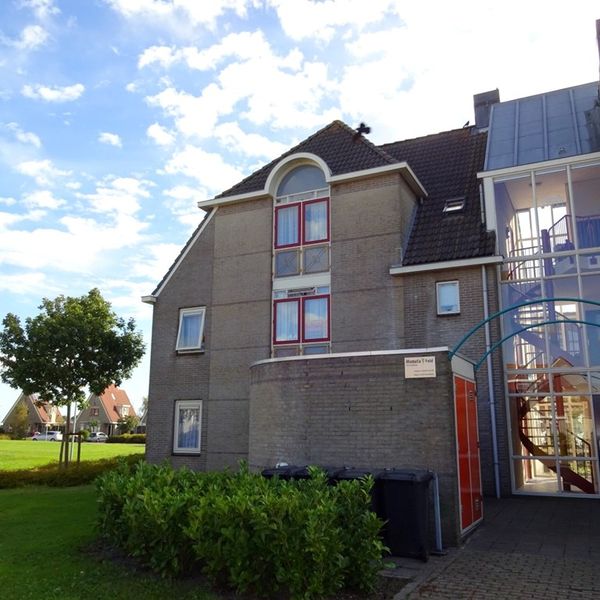 Dorsvlegel 26, De Goorn