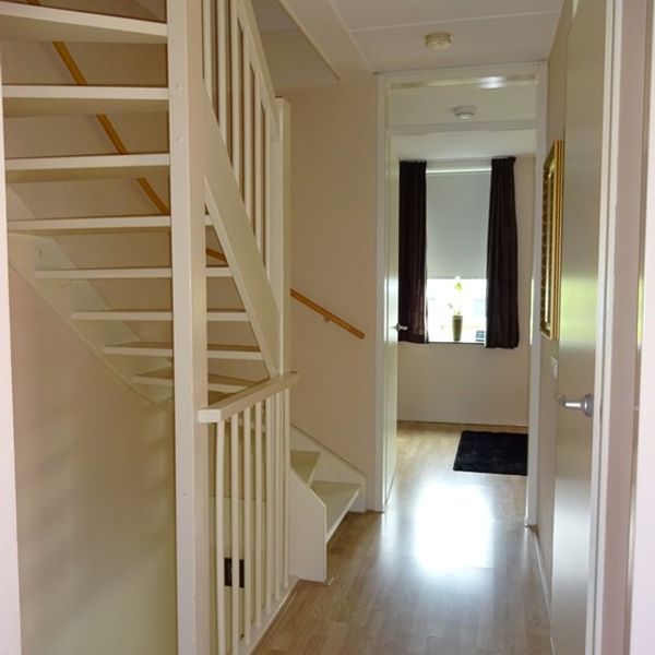 Raaigras 8, De Goorn