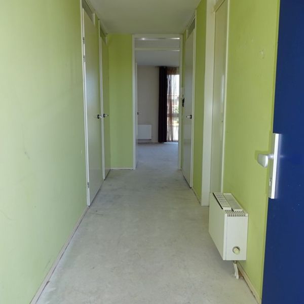 Grondel 23, Avenhorn