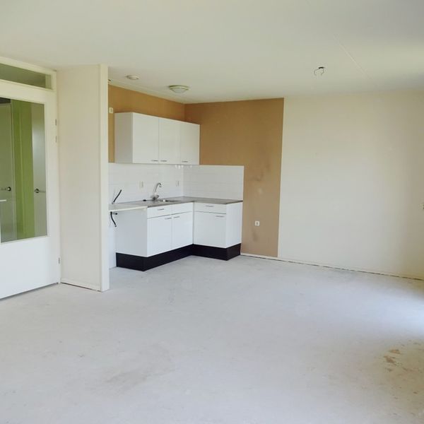 Grondel 23, Avenhorn