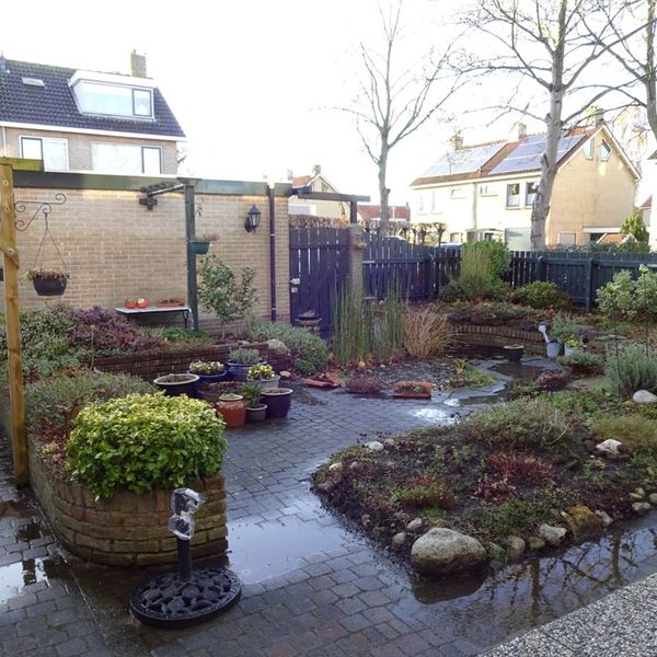 Het Veer 49, Avenhorn