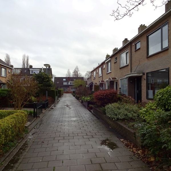 Het Veer 49, Avenhorn