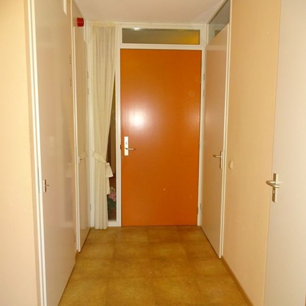 Kolblei 301, Avenhorn