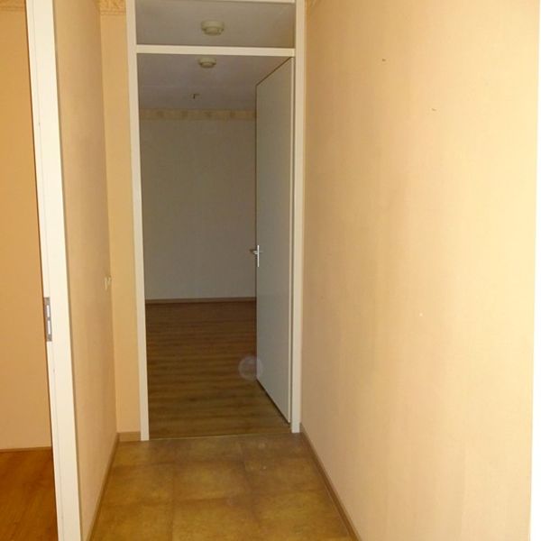 Kolblei 301, Avenhorn