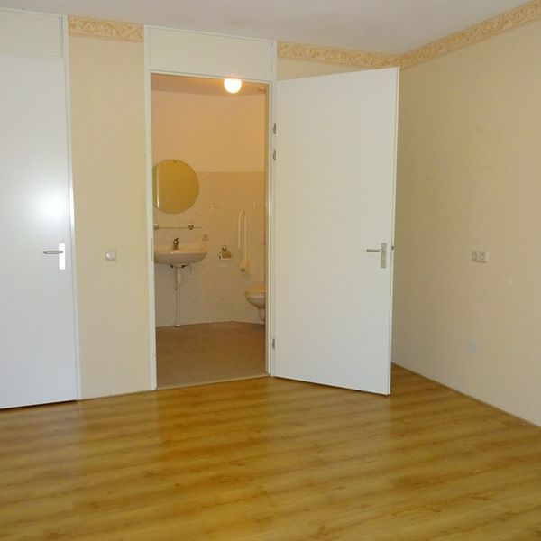 Kolblei 301, Avenhorn