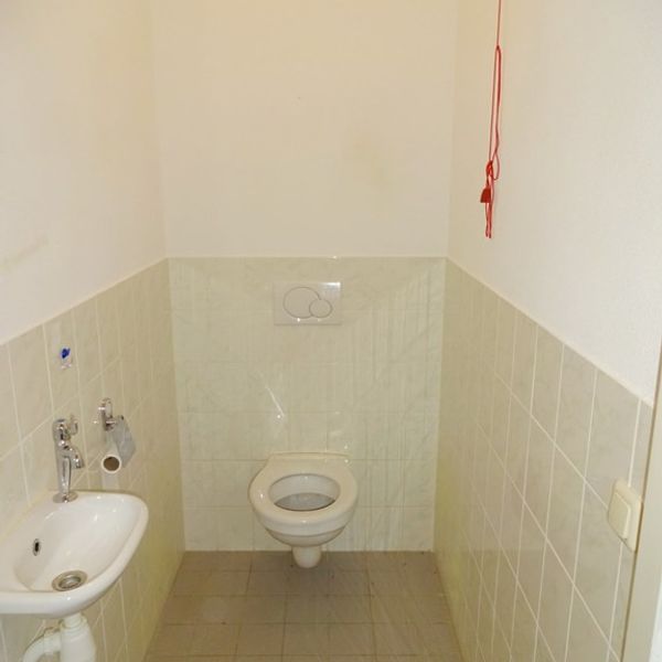 Kolblei 301, Avenhorn