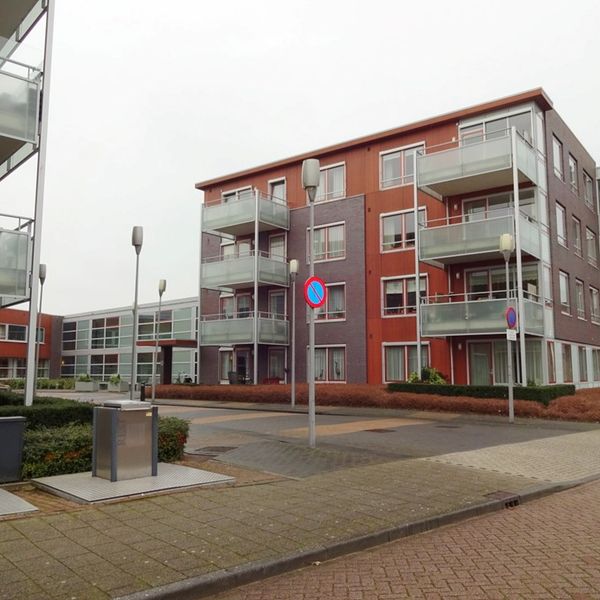 Kolblei 301, Avenhorn