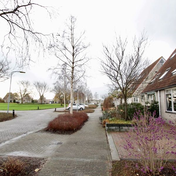 Dorsvlegel 63, De Goorn