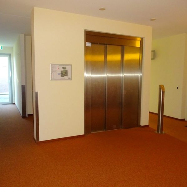 Kolblei 314, Avenhorn