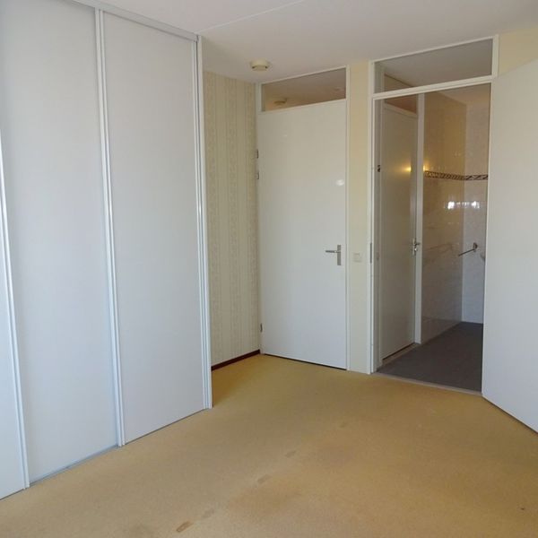 Kolblei 314, Avenhorn