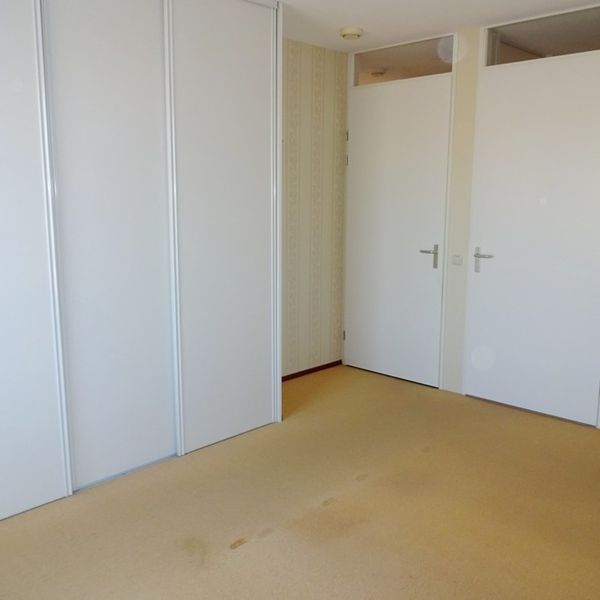 Kolblei 314, Avenhorn