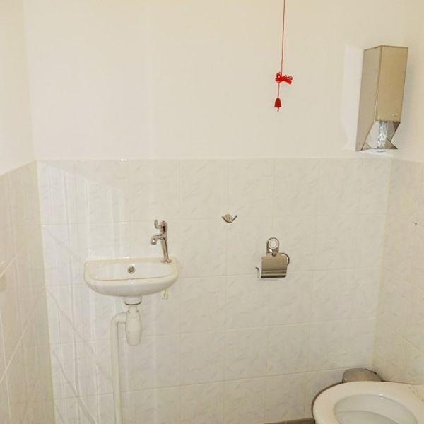 Kolblei 314, Avenhorn