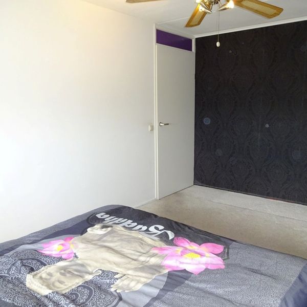 Vijverhof 63, Avenhorn