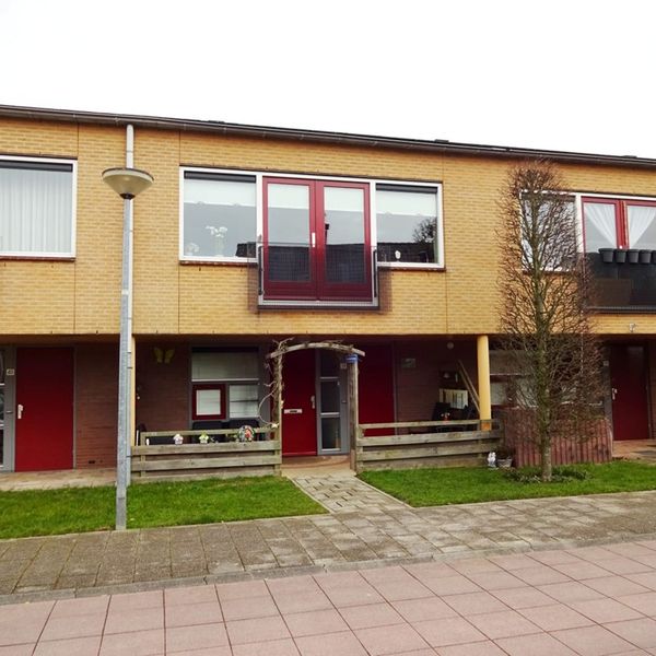 Serpeling 38, Avenhorn