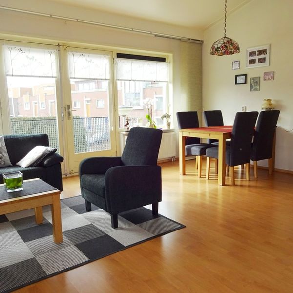 Serpeling 38, Avenhorn