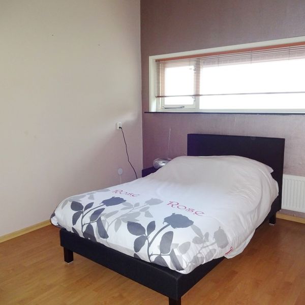 Serpeling 38, Avenhorn