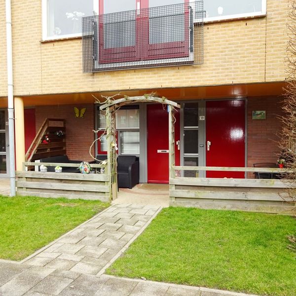 Serpeling 38, Avenhorn