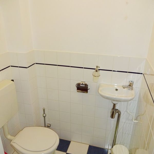 Serpeling 38, Avenhorn