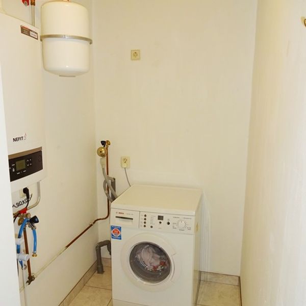 Serpeling 38, Avenhorn