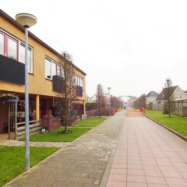 Serpeling 38, Avenhorn