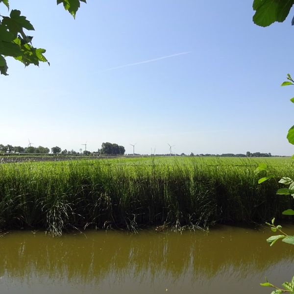 Kerkebuurt 224, Berkhout