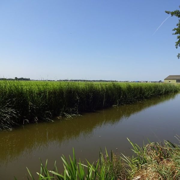 Kerkebuurt 224, Berkhout