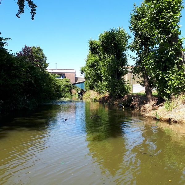 Kerkebuurt 224, Berkhout