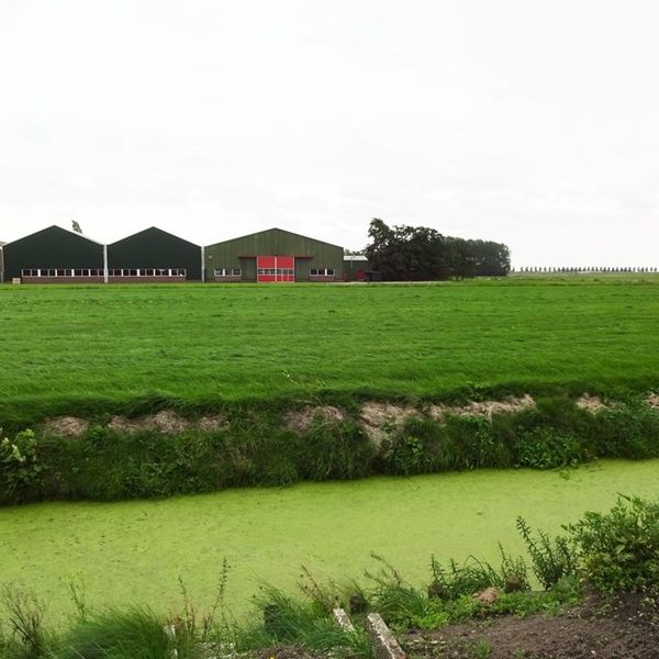 Bernhardstraat 17, Avenhorn